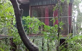 The Green Tree Lodge
